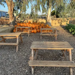 Cute mini picnic area near one of the corn pits