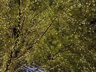 AT&T Performing Arts Center