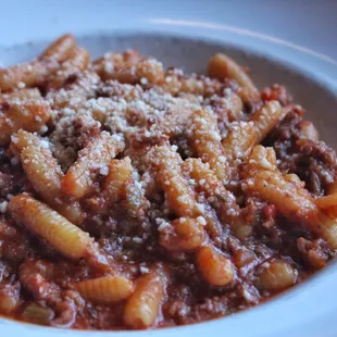 Bolognese