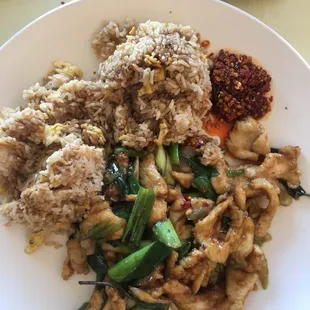 Spicy basil chicken lunch special for $8.00 I added the chili on the side of the dish, I like my food very spicy.
