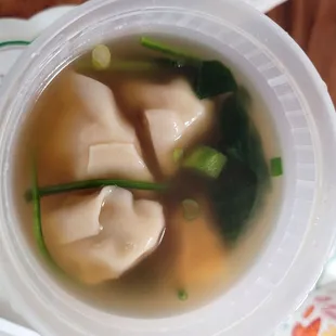 Wonton Soup