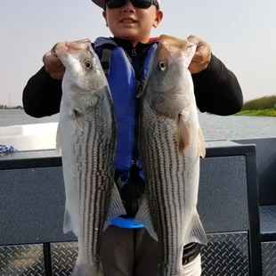 Let's go fishing on the Delta! Boat Charters, Fishing, Oakley, Bass fishing, Sportfishing, catch and release