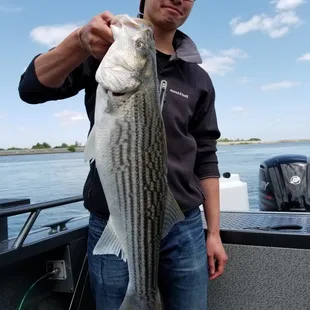 Let's go fishing on the Delta! Boat Charters, Fishing, Oakley, Bass fishing, Sportfishing, catch and release