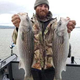 Let's go fishing on the Delta! Boat Charters, Fishing, Oakley, Bass fishing, Sportfishing, catch and release