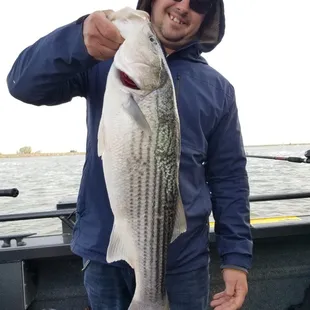 Let's go fishing on the Delta! Boat Charters, Fishing, Oakley, Bass fishing, Sportfishing, catch and release