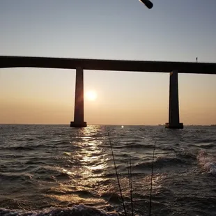 Let's go fishing on the Delta! Boat Charters, Fishing, Oakley, Bass fishing, Sportfishing, catch and release