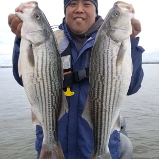 Let's go fishing on the Delta! Boat Charters, Fishing, Oakley, Bass fishing, Sportfishing, catch and release