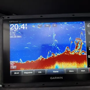 Let's go fishing on the Delta! Boat Charters, Fishing, Oakley, Bass fishing, Sportfishing, catch and release