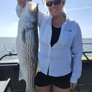 Let's go fishing on the Delta! Boat Charters, Fishing, Oakley, Bass fishing, Sportfishing, catch and release