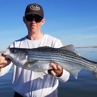 Let's go fishing on the Delta! Boat Charters, Fishing, Oakley, Bass fishing, Sportfishing, catch and release