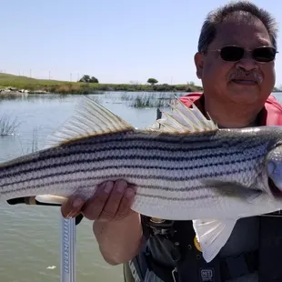 Let's go fishing on the Delta! Boat Charters, Fishing, Oakley, Bass fishing, Sportfishing, catch and release