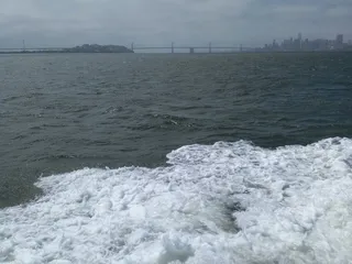 Berkeley Charter Boats