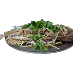 oysters, mussels, oysters and mussels, shellfish, food