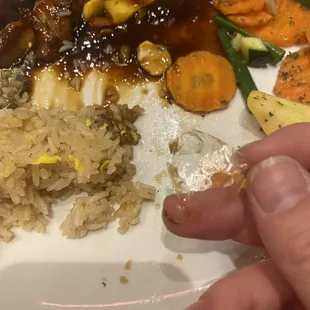 Large piece of plastic in my food.