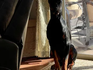 Madera Veterinary Hospital