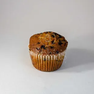 Chocolate Chip Muffin