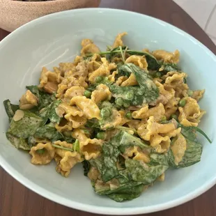 Spring Harvest Pasta