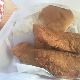 Tilapia