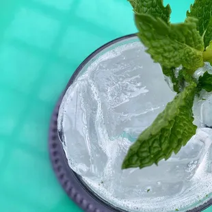 a glass of water with ice and a sprig of mint