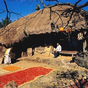The Traditional Sun-drying of pepper