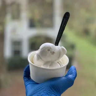 Vegan coconut