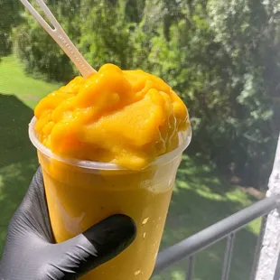 Haitian Mango Sorbet! Only the freshest fruit