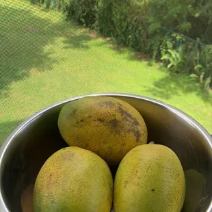 Fresh Organic Ingredients only