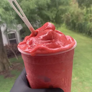 Royal Raspberry Sorbet !