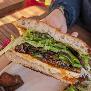 Eggplant paneer sandwich