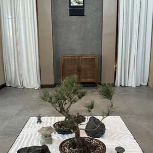 Your journey starts here