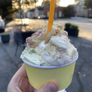  hand holding a cup of gelato