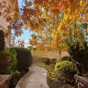 a pathway in a residential neighborhood