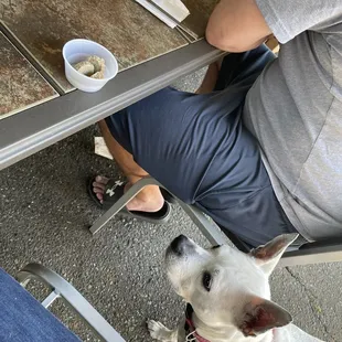 a man and his dog sitting at a table