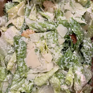 Medium Caesar Salad