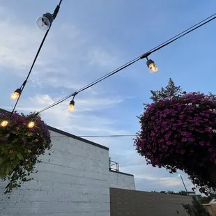 outside