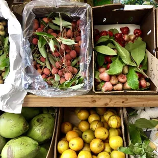 In season produce - longans, lychees, cashew fruit, fresh young coconuts..