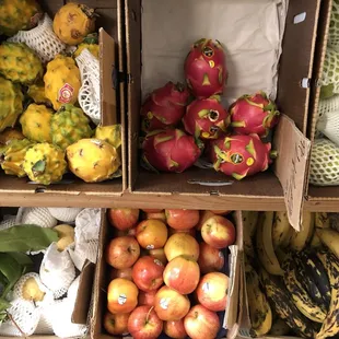 a variety of fruits and vegetables