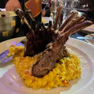 Rack of Lamb