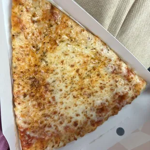 a slice of cheese pizza