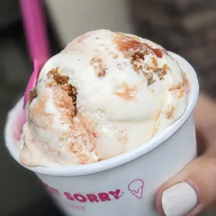 (Spring Series) Guava Cheese Crisp - Anne