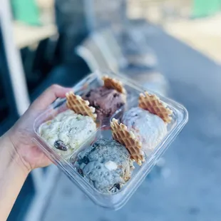 Campfire S&apos;mores Pint Salted Pistachio Brittle Pint Triple Chocolate Chunk Brownie Pint Blueberry Cheesecake Crumble