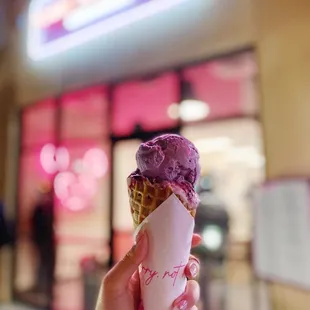 Sorry, Not Sorry Creamery