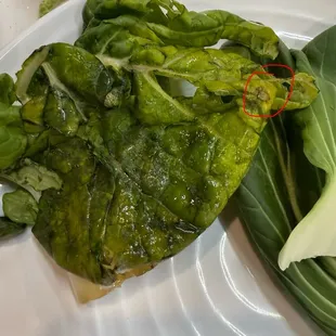 mold on leafy vegetables