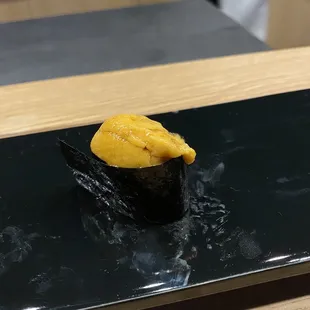Sea Urchin