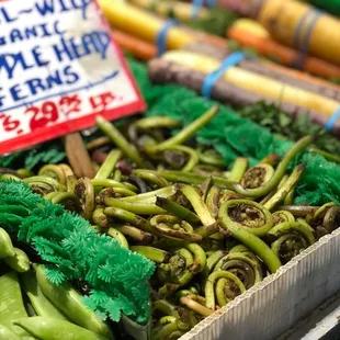 a variety of vegetables