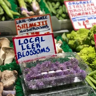 a variety of vegetables