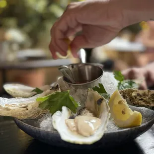 food, oysters and mussels, mussels, oysters, shellfish