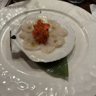 Live Scallops