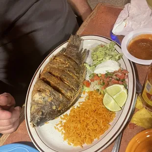 Fish - amazing