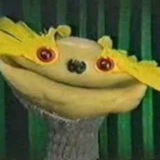 Jake P.
